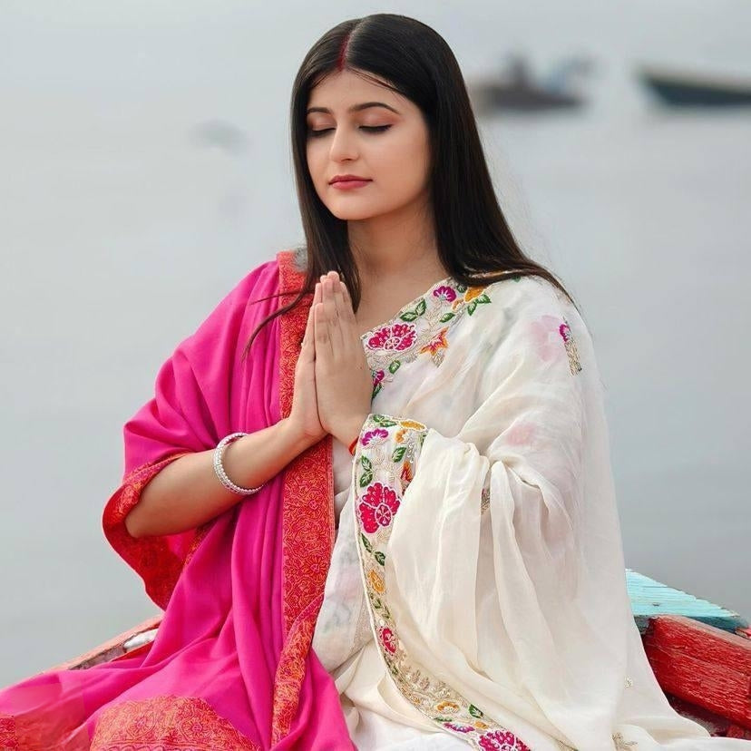 Rainbow Work Saree